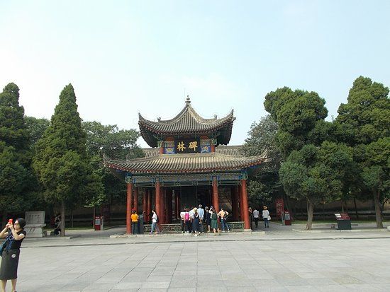 Museo del Bosque de Piedra